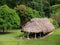 Eco lodge in the rainforest.