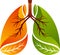 Eco lungs logo