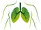 Eco lungs logo