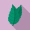 Eco mint icon, flat style