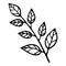 Eco natural branch leaf tree icon, hand drawn style