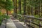 Eco path wooden walkway in the forest. Ecological trail path. Wooden path in the National park in Canada