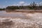 Eco Pond in Everglades National Park in extreme drought.