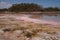 Eco Pond in Everglades National Park in extreme drought.