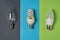 Eco power concept. Incandescent light bulb, fluorescent lamp and LED bulb on multi-colored background