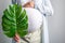 Eco pregnancy. Pregnant woman with big belly advanced pregnancy holding green tropical palm monstera leaf in hand.