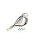 Eco product concept, titmouse bird like tree , green eco product idea, eco production,