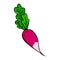 Eco red radish icon, cartoon style