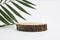 Eco rustic pine tree wood disc platform podium on light copy spase background. Minimal empty display product presentation scene