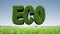 ECO sign grass Green planet Earth globe landscape