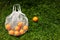 Eco String Bag with Oranges On Grass.