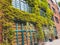 Eco-style in the modern courtyard with beautiful views, deciduous decor on a brick building