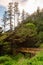 Ecola Beach State Park on the Oregon Coast