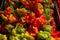 Ecologic cultivated vegetables. Organic, fresh hot pepper. Ecologic natural vegetable background