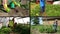 Ecologic gardening in rural farm. Video clips collage.