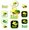 Ecologic icon and logotype