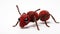 Ecological Art: Red Knitted Roach Toy With Black Legs