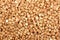 Ecological buckwheat macro horizontal type