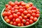 Ecological cherry tomatoes in a basin