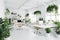 Ecological design, white office with lots of plants. Generative ai