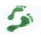 Ecological footprint