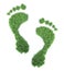 Ecological footprint