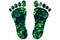 Ecological footprint green renewable sustainable economy