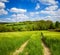 Ecological green areas with wind turbine