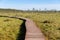 Ecological hiking trail in a national park through peat bog swamp, wooden path through protected environment