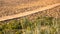 Ecological hiking trail in the national park through sand dunes, beach, sedge thickets and plants, wooden path through protected