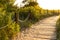 Ecological hiking trail in the national park through sand dunes, beach, sedge thickets and plants, wooden path through protected