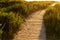 Ecological hiking trail in the national park through sand dunes, beach, sedge thickets and plants, wooden path through protected