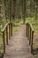 Ecological path of wooden planks goes to the little bridge over