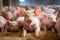 Ecological pigs and piglets at the domestic farm. Generative AI