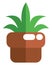 Ecological plant in pot, icon