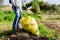 Ecological volunteers cleaning the contaminated field from plastic bottles