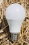 Ecological white light bulbs