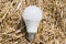 Ecological white light bulbs