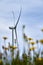 Ecological windmills to generate electricity in a natural environment