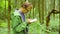 The ecologist in a forest measuring a tree trunk