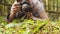 The ecologist making photos in the forest.