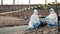 Ecologist sampling water from the river with test tube