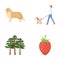 Ecology, business, entertainment and other web icon icons in set collection.in cartoon style.leaf, dessert, rest,