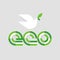 Ecology concept with eco lettering and white peace dove