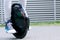 Ecology electric transport balancing unicycle