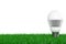 Ecology Energy Save Concept. Led Bulb over Grass. 3d Rendering