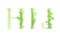 Ecology english alphabet letters. Green leaves font. H,I,J letters cartoon vector illustration
