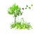 Ecology. Enviroment protection. Green grass. Vector illustration