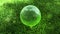 Ecology environment concept, glass globe in the green grass