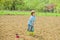 Ecology and environmental protection. small kid planting a flower. earth day. soils and fertilizers. summer farm